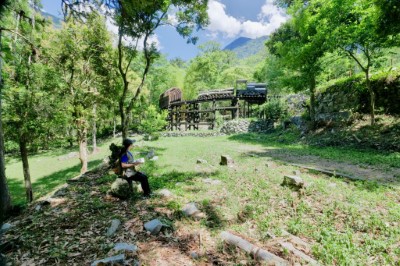 八仙山國家森林遊樂區運材火車景觀 (林業保育署提供)